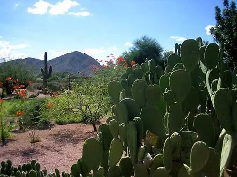 Hotel Scottsdale Cottonwoods Resort & Suites